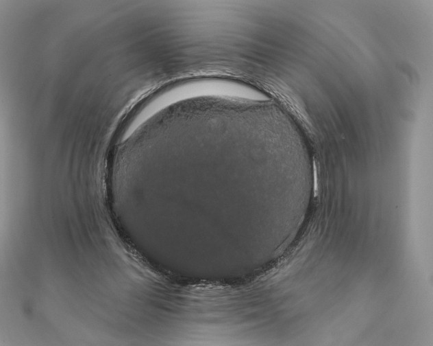 X0000111440300200908031358