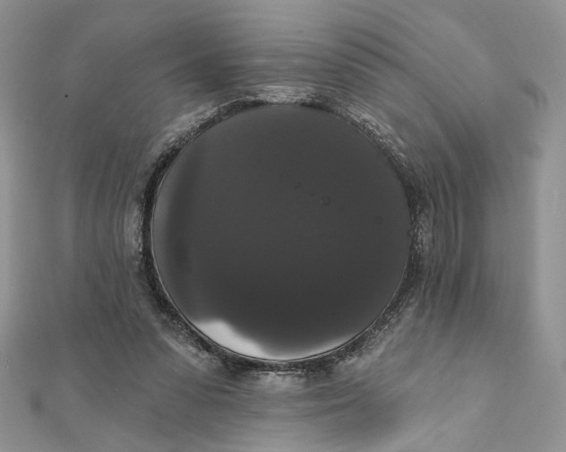 X0000111440303200908031358