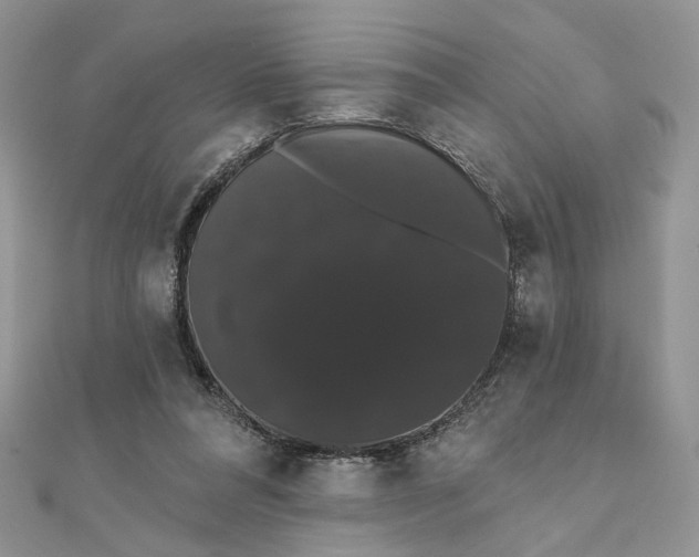 X0000111440304200908031358