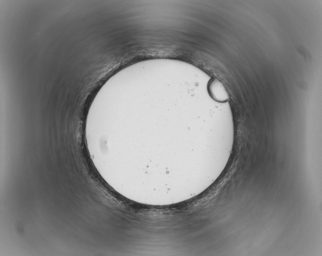 X0000111440305200908031358