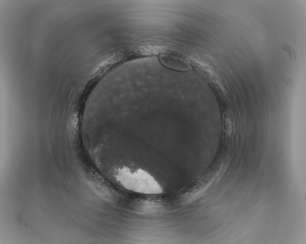 X0000111440308200908031358