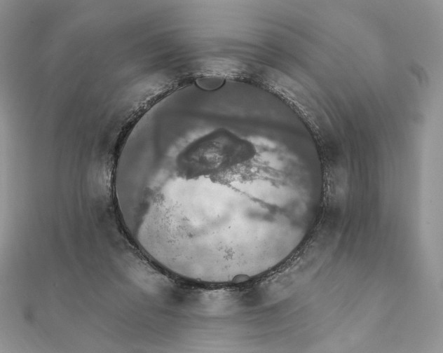 X0000111440309200908031358