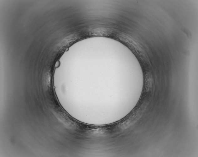 X0000111440310200908031358