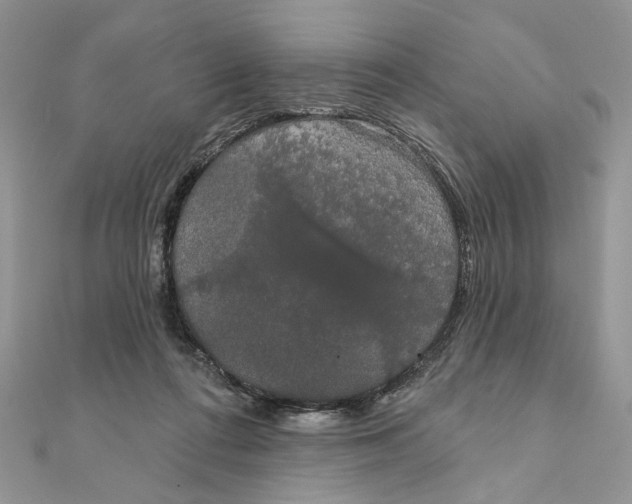 X0000111440312200908031358