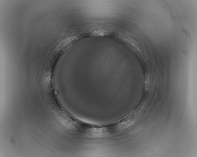 X0000111440314200908031358