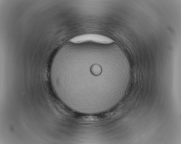 X0000111440316200908031357