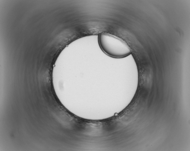 X0000111440317200908031357