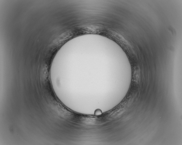 X0000111440318200908031357