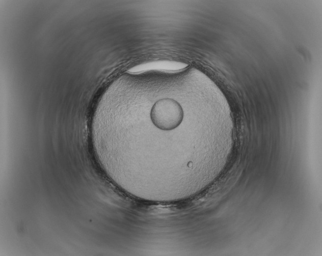 X0000111440320200908031357