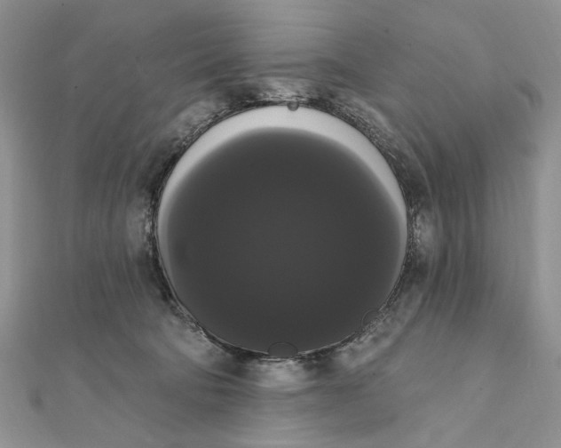 X0000111440322200908031357