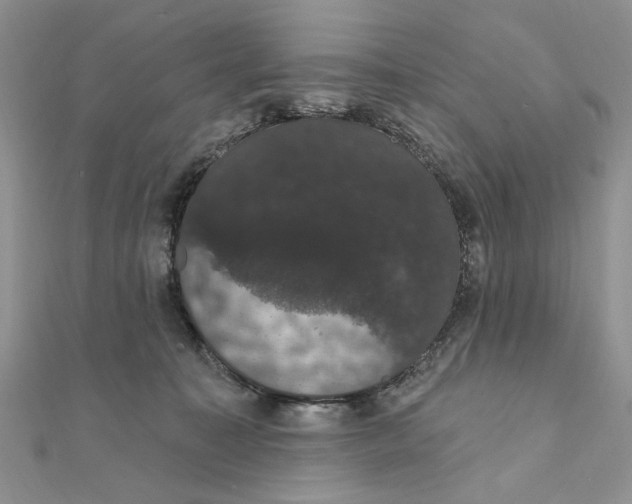 X0000111440323200908031357