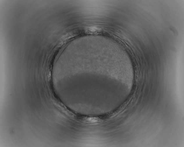 X0000111440324200908031357