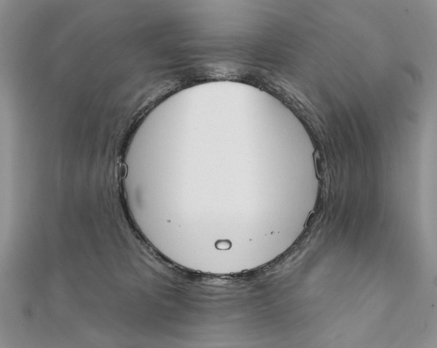 X0000111440325200908031357