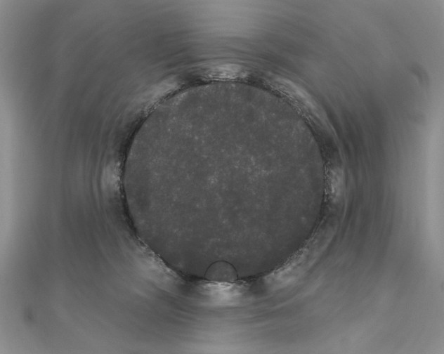 X0000111440326200908031357