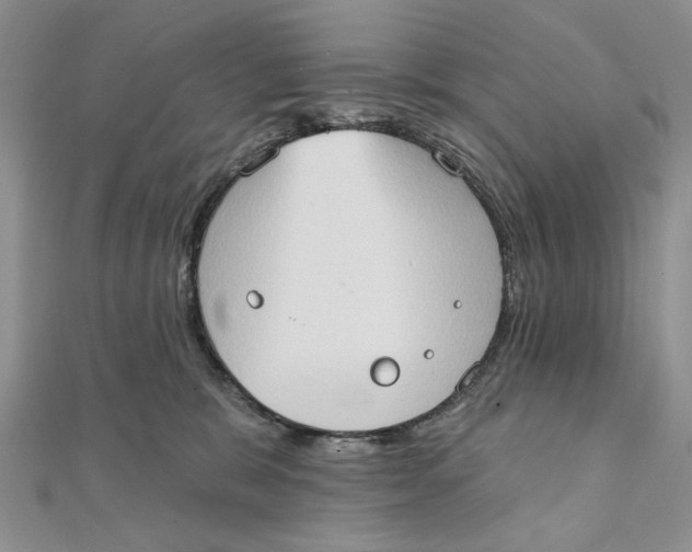 X0000111440327200908031357