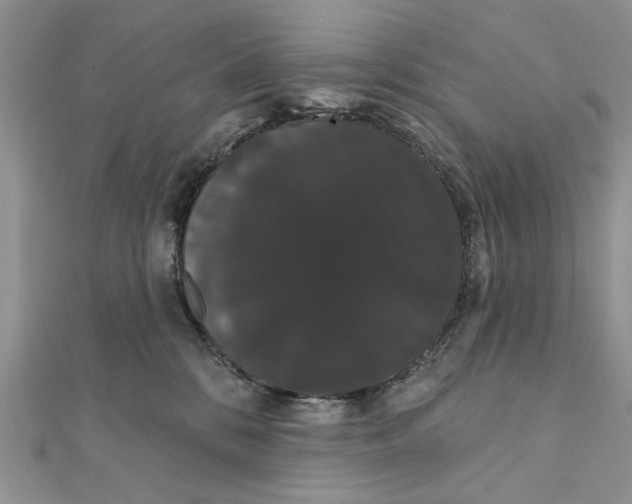 X0000111440328200908031357