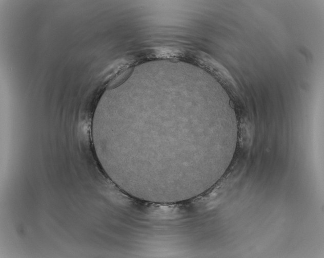 X0000111440329200908031357