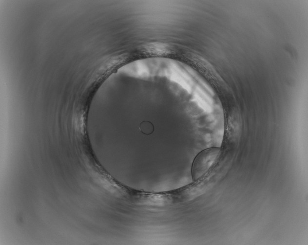 X0000111440330200908031357