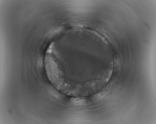 X0000111440331200908031357