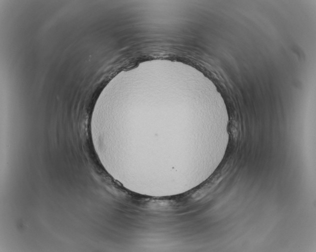 X0000111440332200908031357