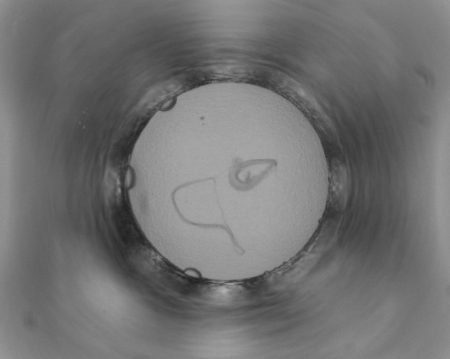 X0000111440333200908031357