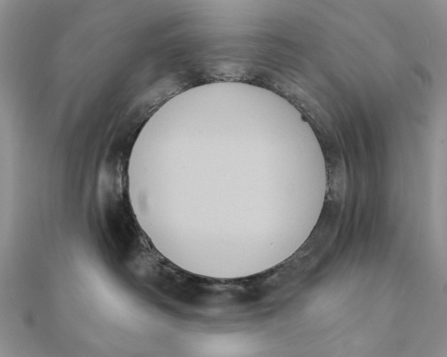 X0000111440334200908031357