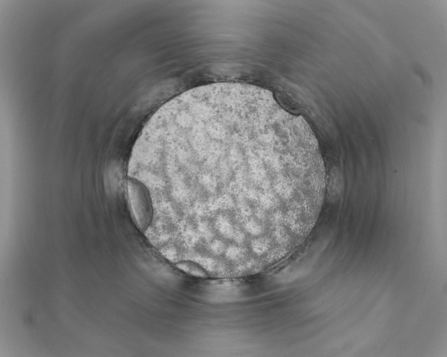 X0000111440335200908031357