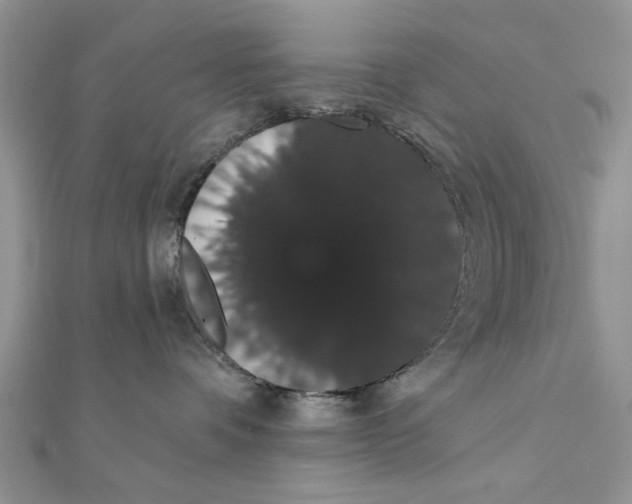 X0000111440336200908031357