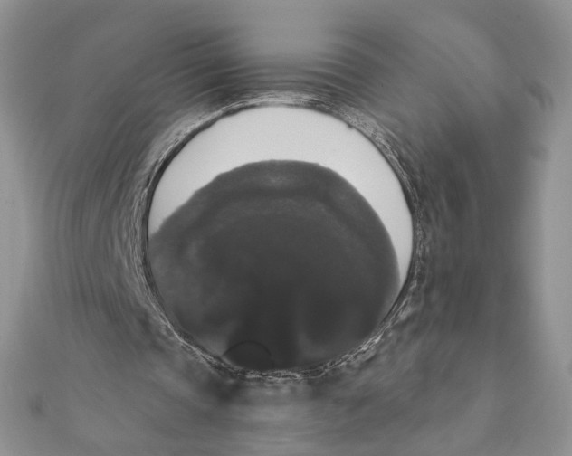 X0000111440337200908031357