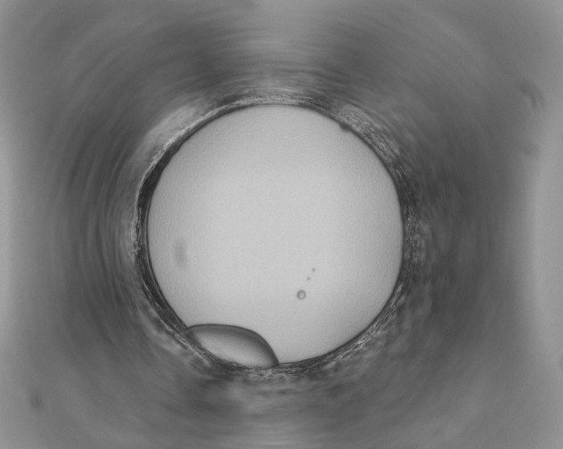 X0000111440338200908031357