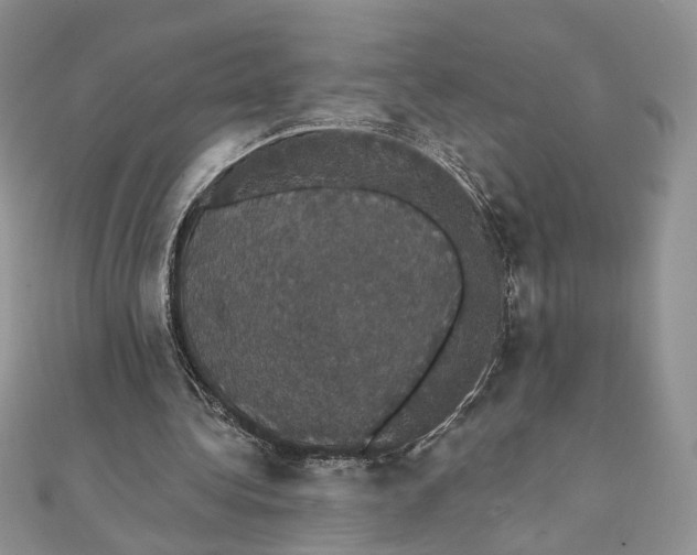 X0000111440340200908031357