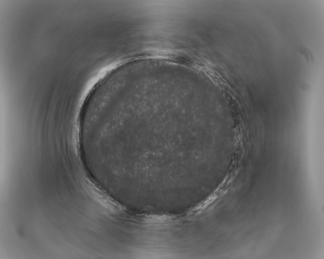 X0000111440342200908031357