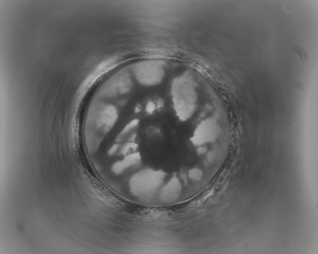 X0000111440343200908031357