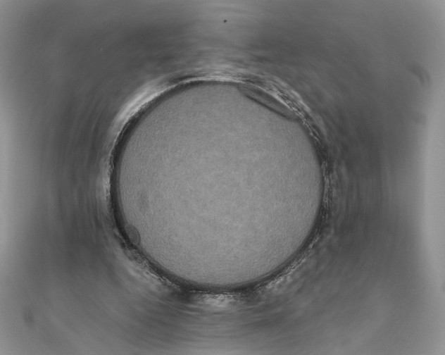 X0000111440344200908031357