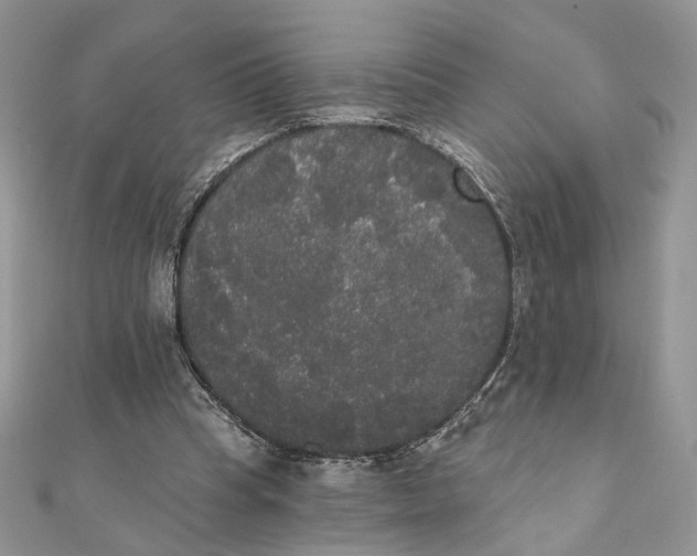 X0000111440345200908031357