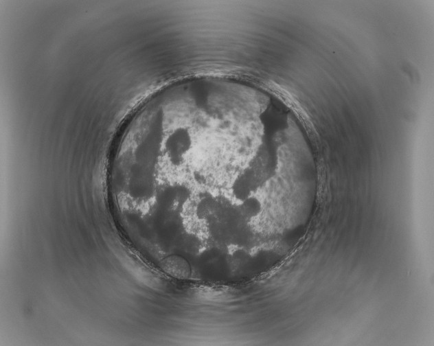 X0000111440346200908031357