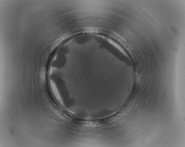 X0000111440347200908031357