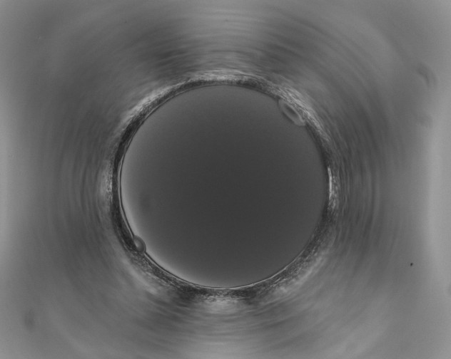 X0000111440348200908031357