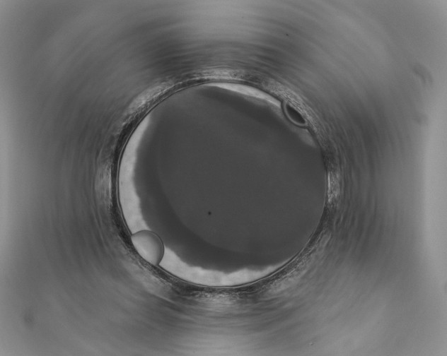 X0000111440349200908031357