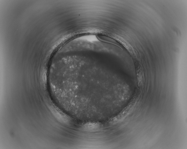 X0000111440350200908031357