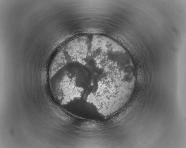 X0000111440351200908031357