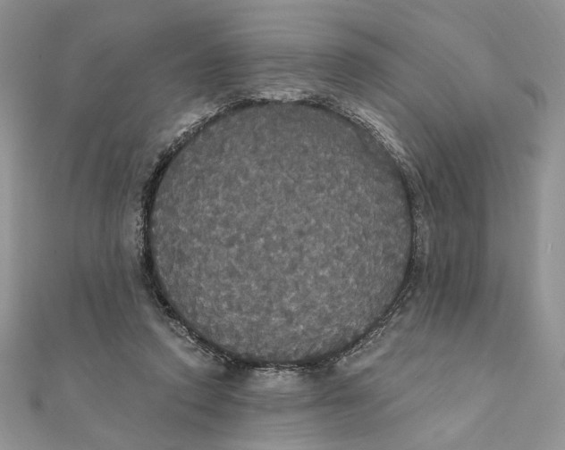 X0000111440354200908031357