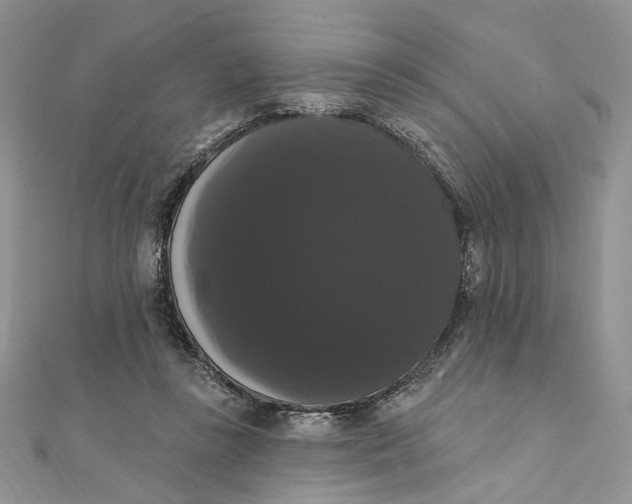 X0000111440355200908031357