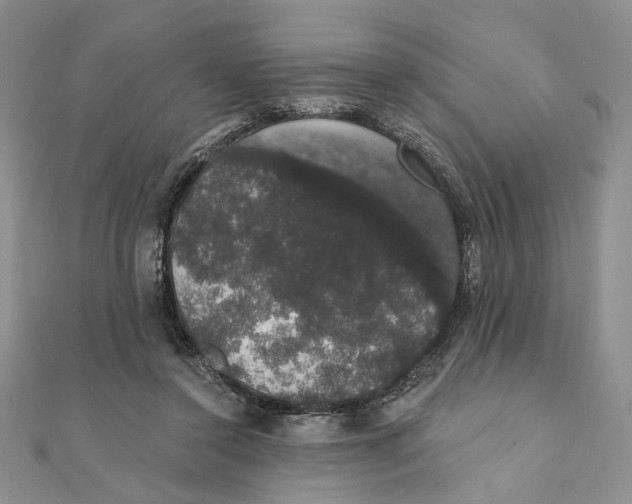 X0000111440356200908031357