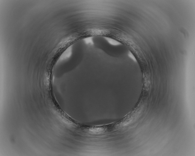 X0000111440357200908031357