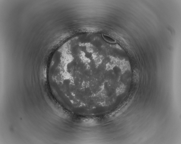 X0000111440358200908031357