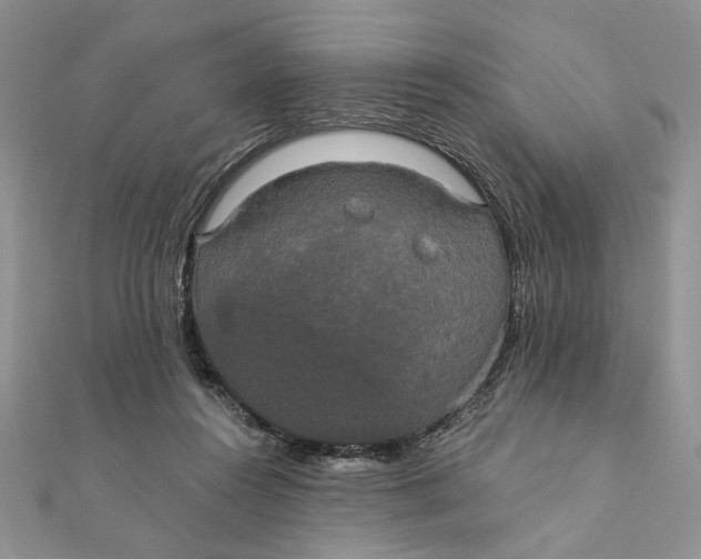 X0000111440360200908031357