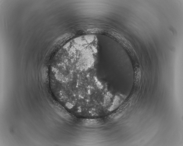 X0000111440361200908031357