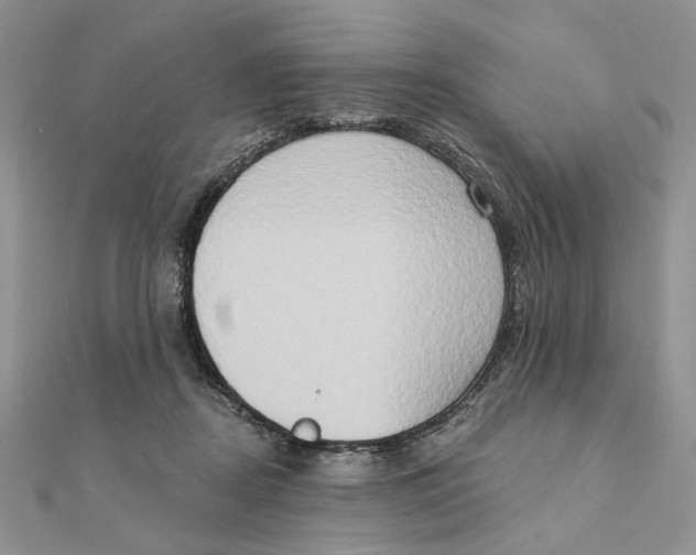 X0000111440362200908031357