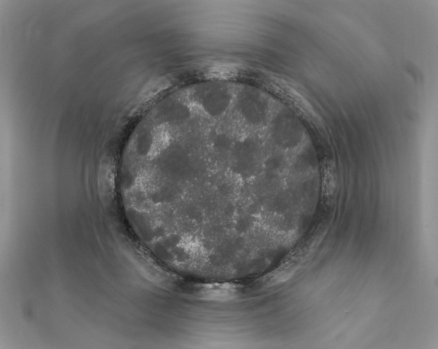 X0000111440363200908031357